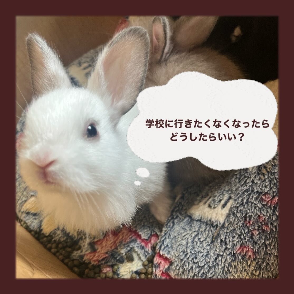 🐰  【学校に行きたくなくなったらどうしたらいい？】  学生みんなが毎日通う場所、「学校」。 でも、たまに行きたくない、行きたくても行けない日がありますよね。 今日は、「もし、学校に行きたくなくなったらどうしたらいい？」 についてお話...
