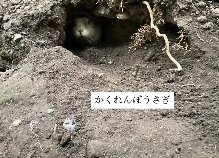 📷りょうカメラ📷　