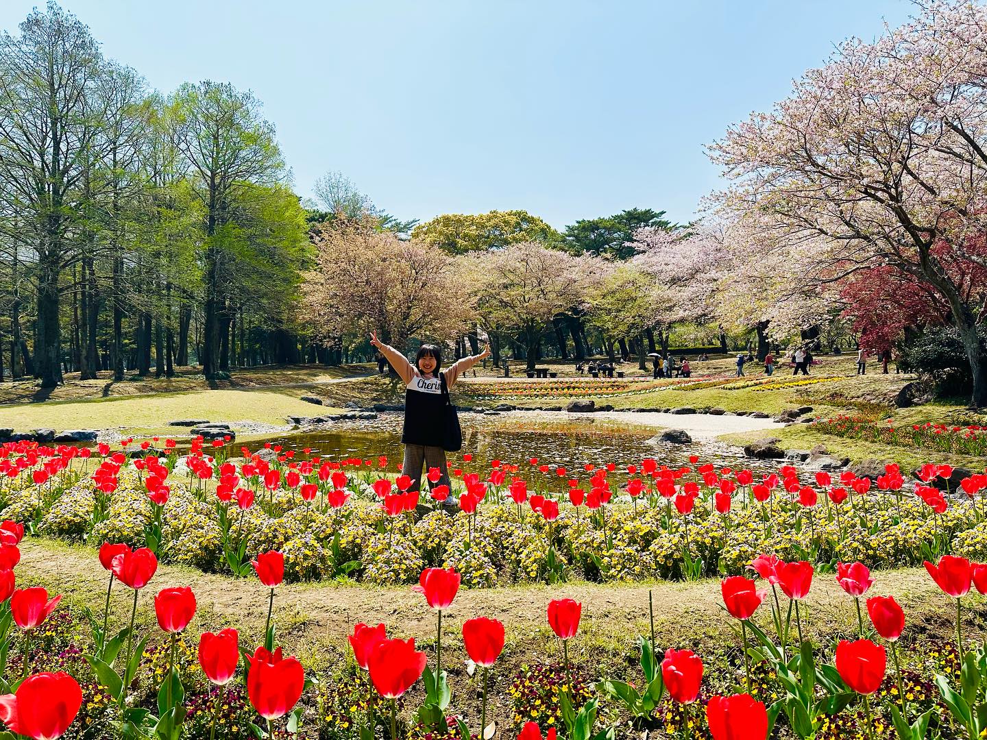 【お花見日和🌸✨】