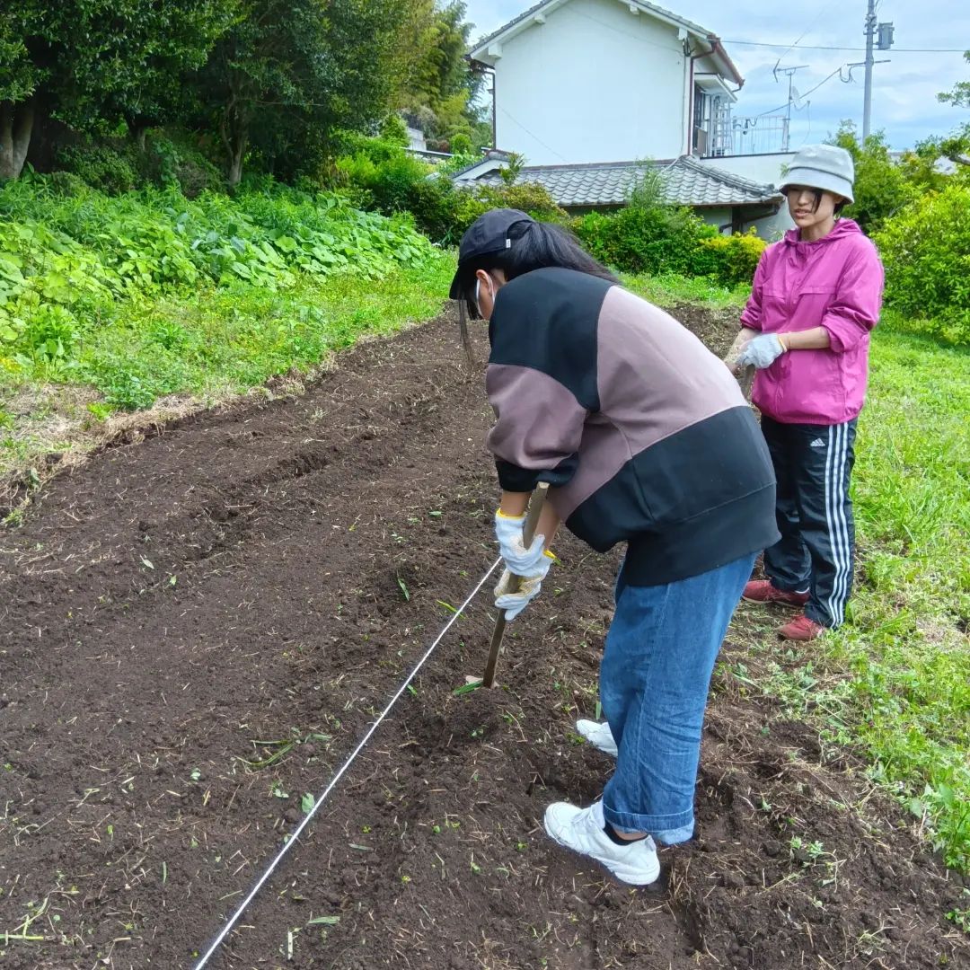 5月8日、みんなの教室では、日出の農園で農作業体験をしました😊  草がいっぱい生えている土地をトラクターで耕すところからスタート。 なんとトラクターの操作まで体験させていただきました🚜 原っぱがあっという間に畑に変身‼️  畑にくわで...