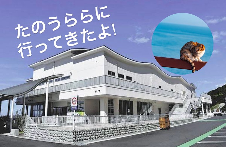 🎥✨ みんなの教室チャンネルで 新しい動画をアップしました! よかったら、高評価👍とチャンネル登録を よろしくお願いします✨ チャンネル登録者ももうすぐ100人! 応援してもらえるとやる気が出ます! 周りの人にも広めてね🎵 も... ギャラリー画像 1