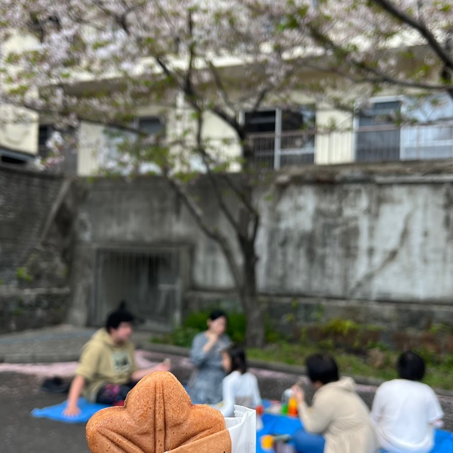 【今年度最初のみんなの教室、お花見！】